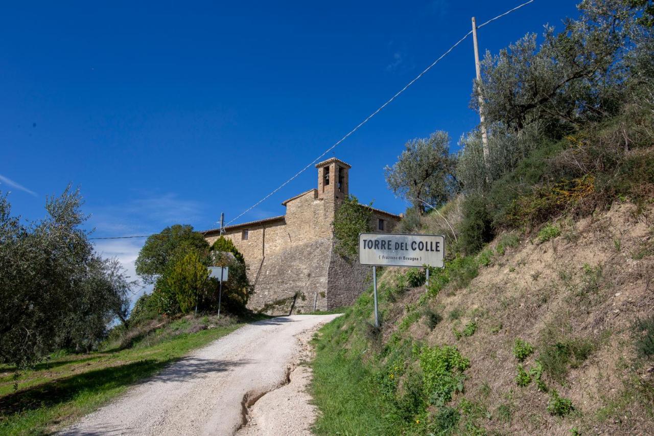 La Vernaccia - Torre Del Colle, Bevagna Eksteriør billede